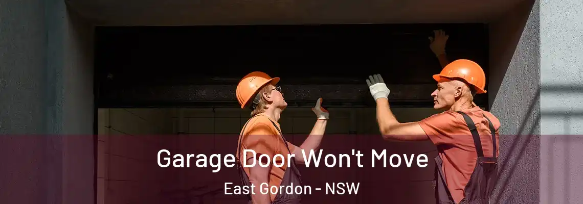 Garage Door Won't Move East Gordon - NSW