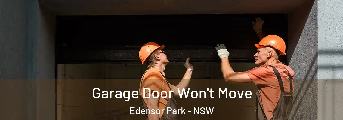 Garage Door Won't Move Edensor Park - NSW