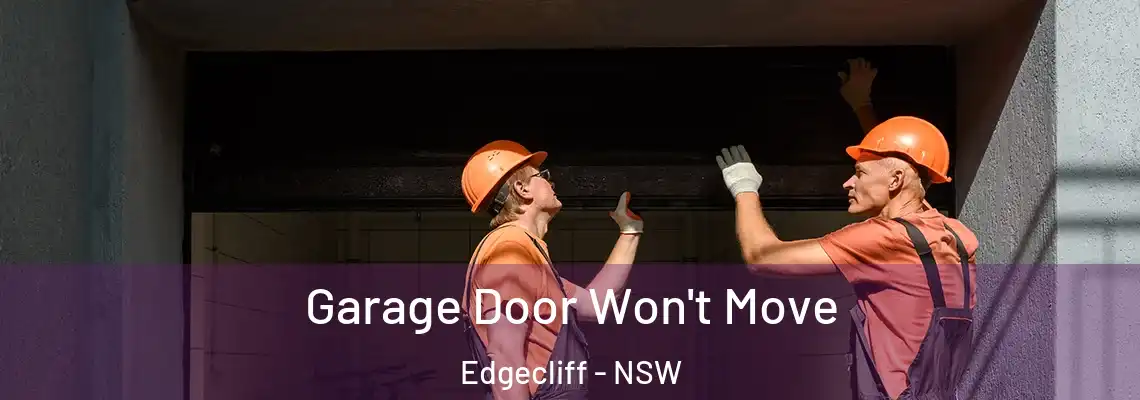Garage Door Won't Move Edgecliff - NSW