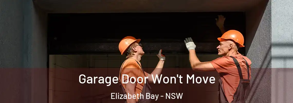 Garage Door Won't Move Elizabeth Bay - NSW