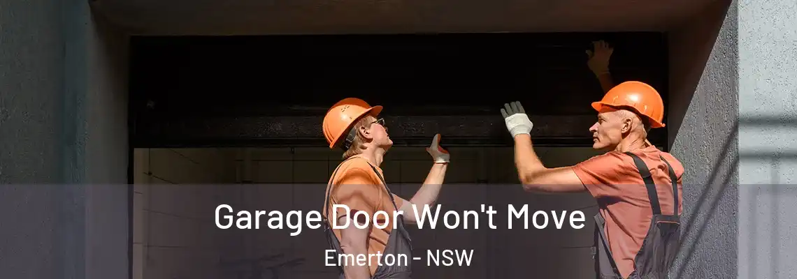 Garage Door Won't Move Emerton - NSW