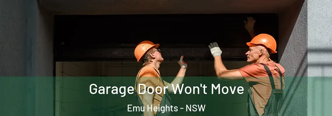 Garage Door Won't Move Emu Heights - NSW