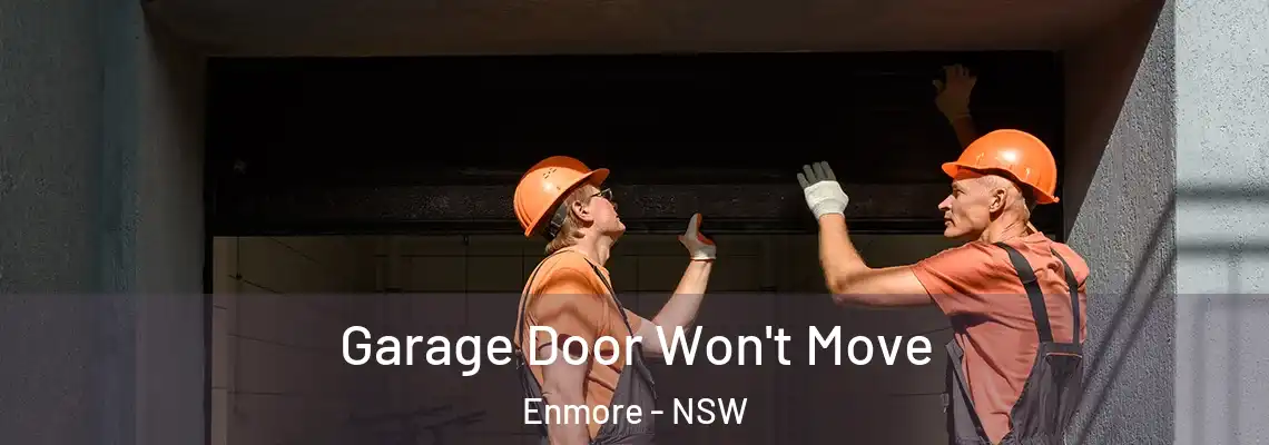 Garage Door Won't Move Enmore - NSW