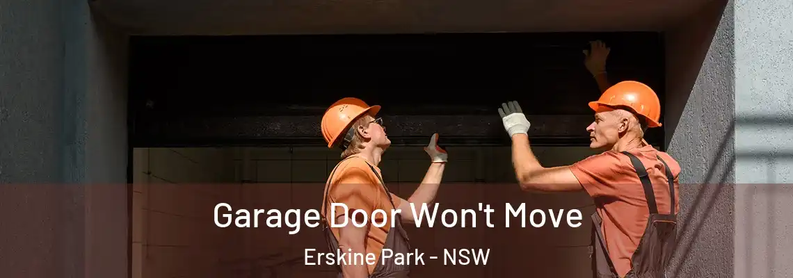Garage Door Won't Move Erskine Park - NSW