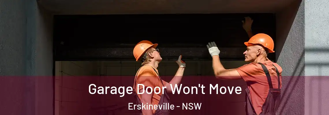 Garage Door Won't Move Erskineville - NSW