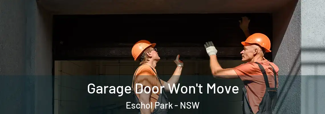 Garage Door Won't Move Eschol Park - NSW