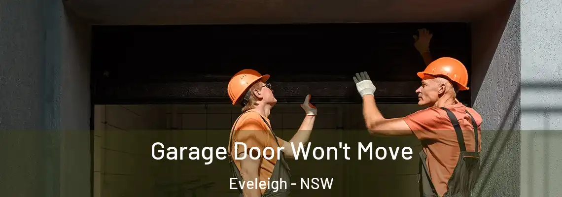  Garage Door Won't Move Eveleigh - NSW