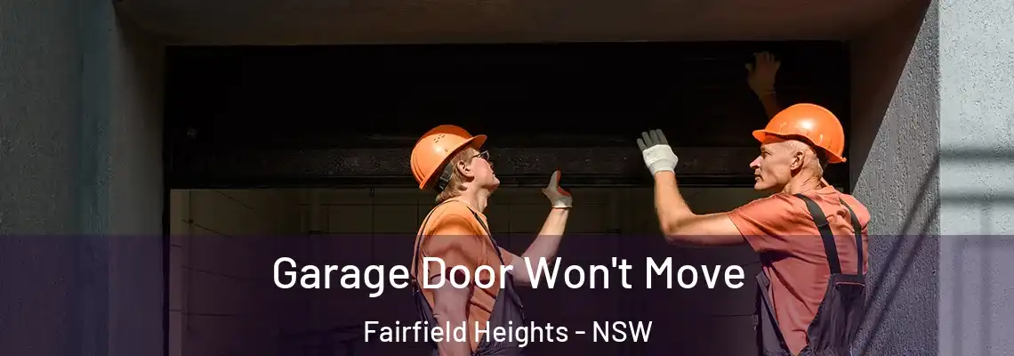 Garage Door Won't Move Fairfield Heights - NSW