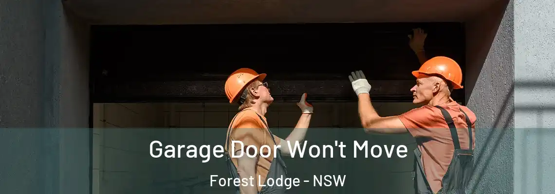  Garage Door Won't Move Forest Lodge - NSW