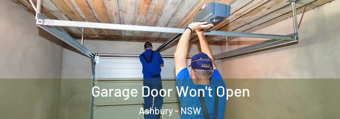 Garage Door Won't Open Ashbury - NSW