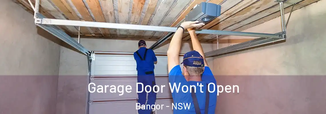 Garage Door Won't Open Bangor - NSW
