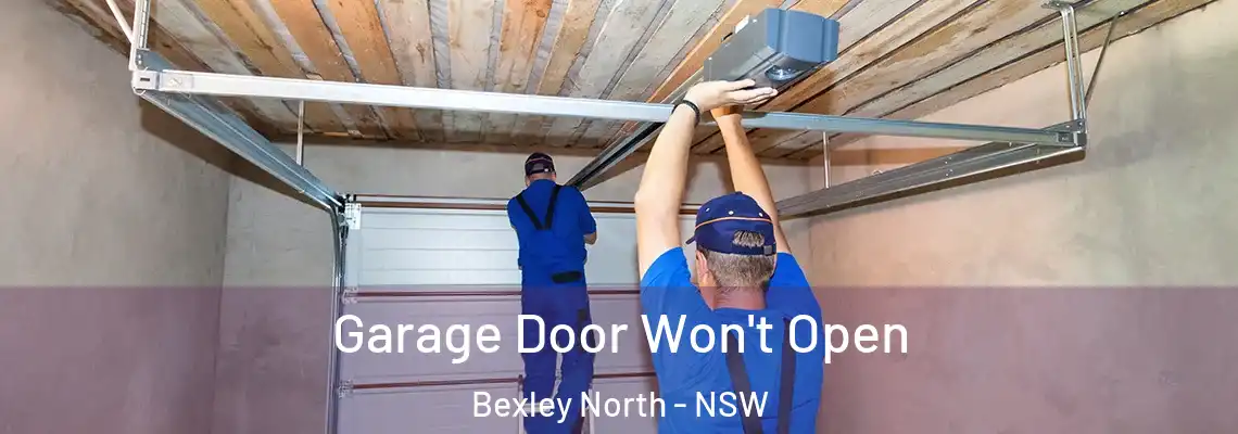 Garage Door Won't Open Bexley North - NSW