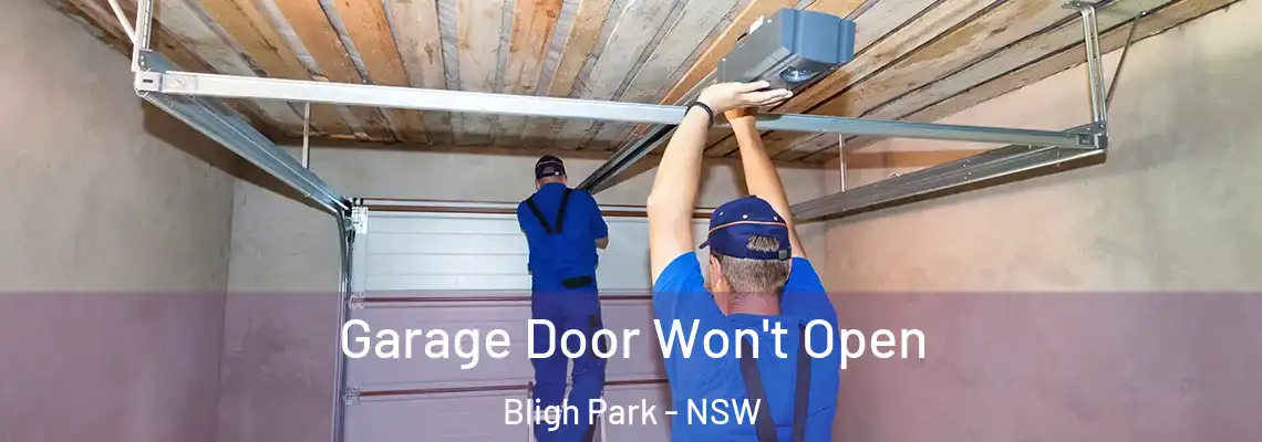 Garage Door Won't Open Bligh Park - NSW