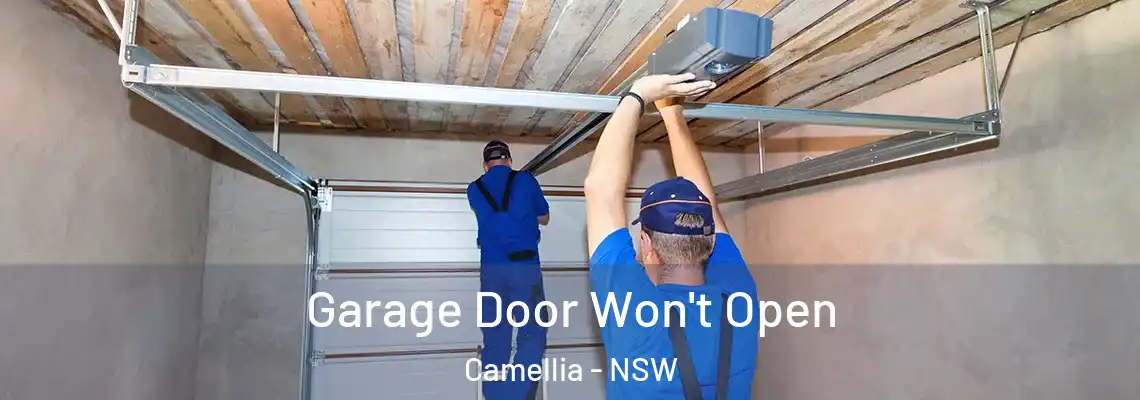 Garage Door Won't Open Camellia - NSW