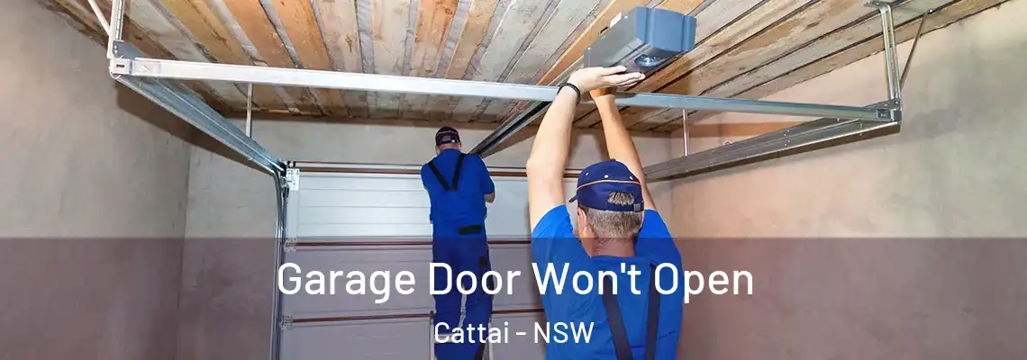 Garage Door Won't Open Cattai - NSW