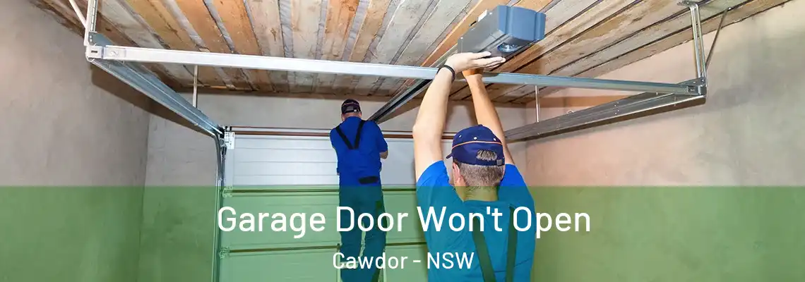 Garage Door Won't Open Cawdor - NSW