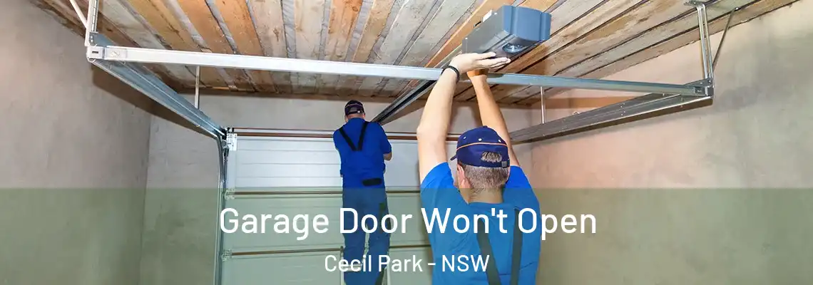 Garage Door Won't Open Cecil Park - NSW