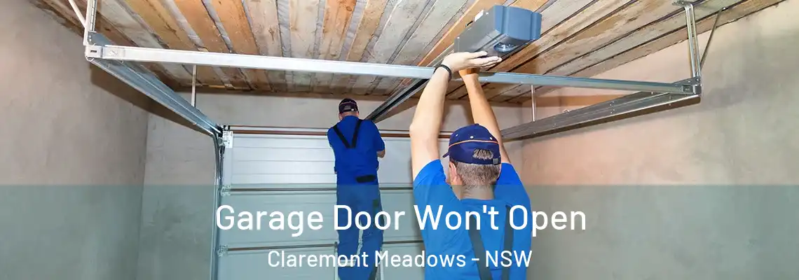 Garage Door Won't Open Claremont Meadows - NSW