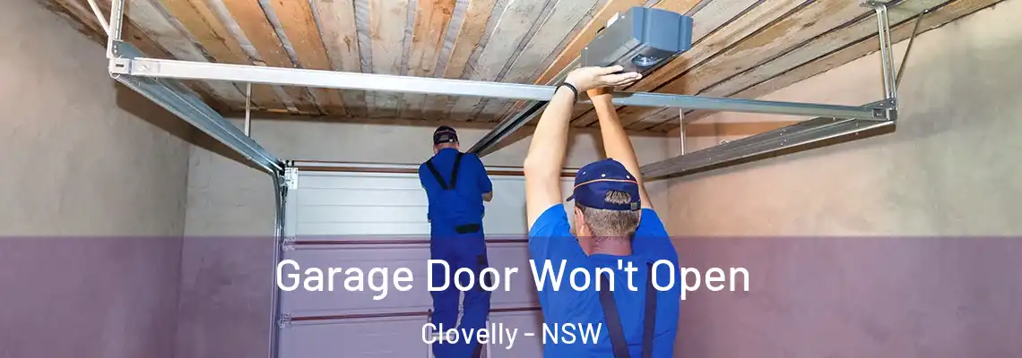 Garage Door Won't Open Clovelly - NSW
