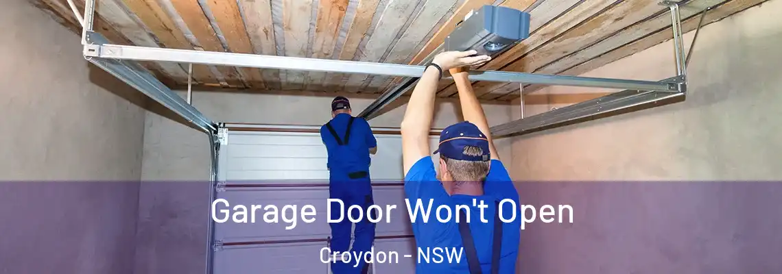 Garage Door Won't Open Croydon - NSW