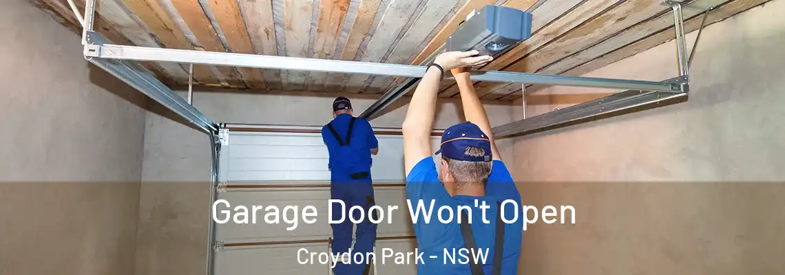 Garage Door Won't Open Croydon Park - NSW
