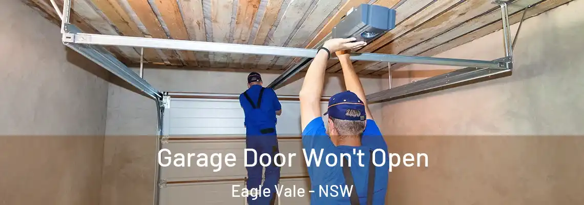 Garage Door Won't Open Eagle Vale - NSW