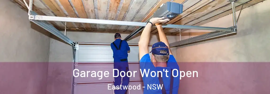 Garage Door Won't Open Eastwood - NSW