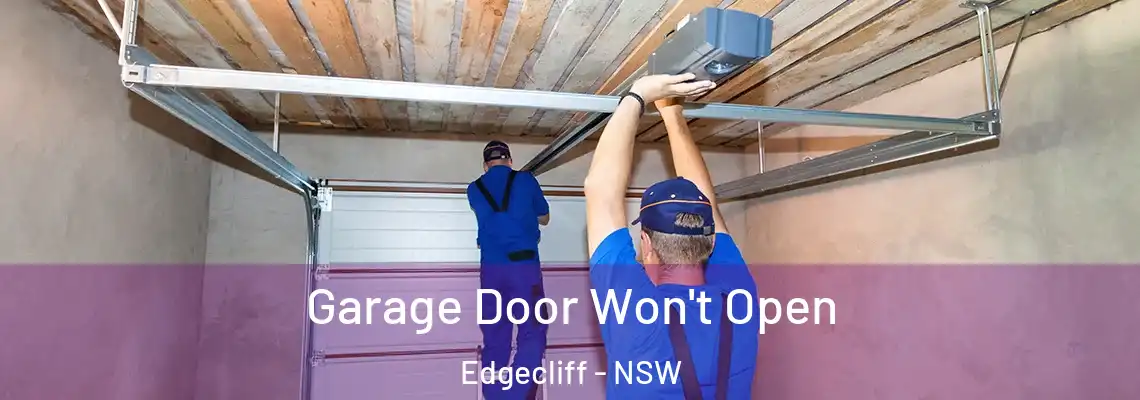 Garage Door Won't Open Edgecliff - NSW