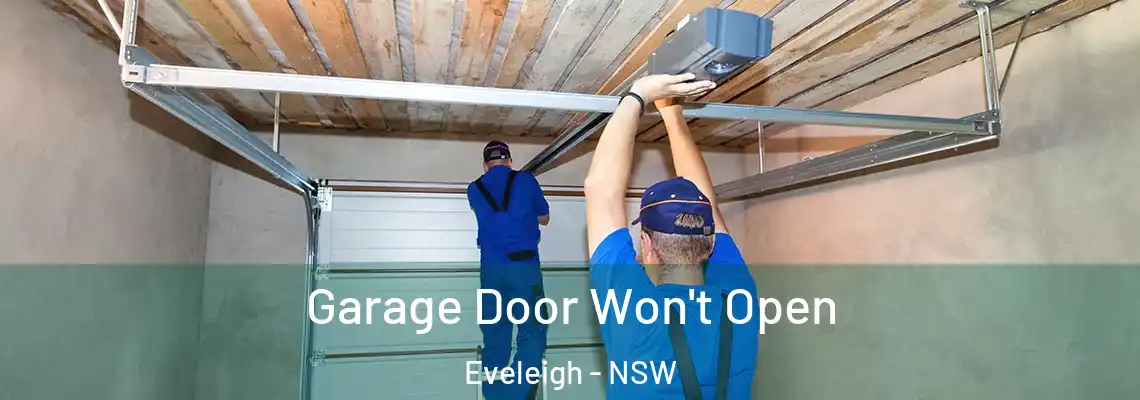 Garage Door Won't Open Eveleigh - NSW