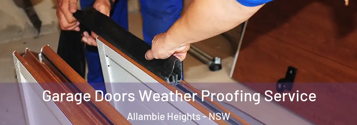 Garage Doors Weather Proofing Service Allambie Heights - NSW