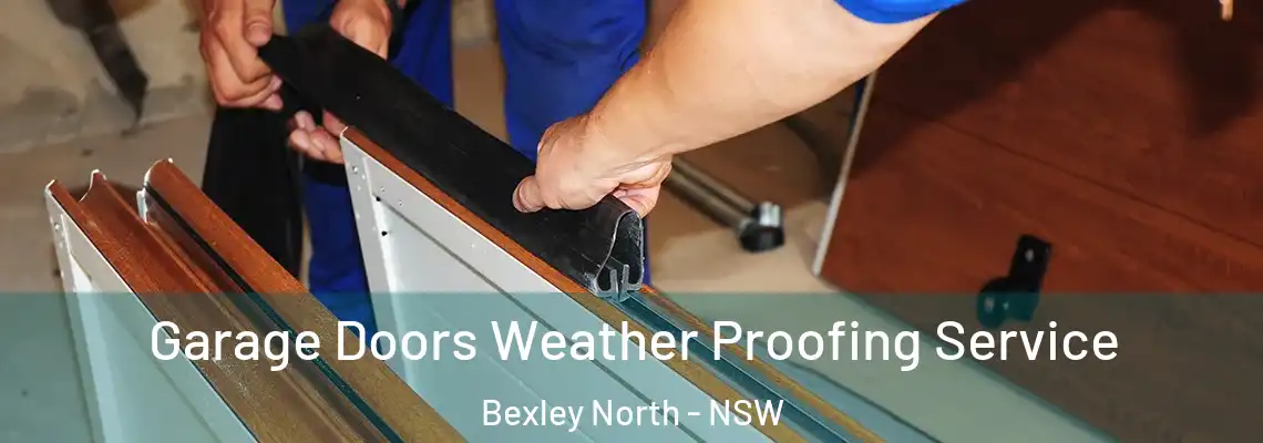 Garage Doors Weather Proofing Service Bexley North - NSW