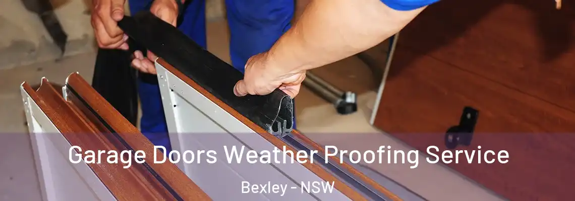 Garage Doors Weather Proofing Service Bexley - NSW
