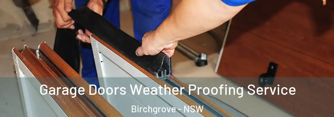 Garage Doors Weather Proofing Service Birchgrove - NSW