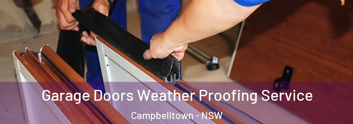 Garage Doors Weather Proofing Service Campbelltown - NSW