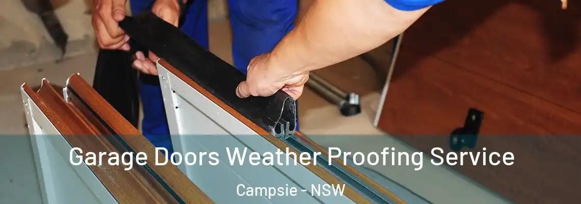 Garage Doors Weather Proofing Service Campsie - NSW