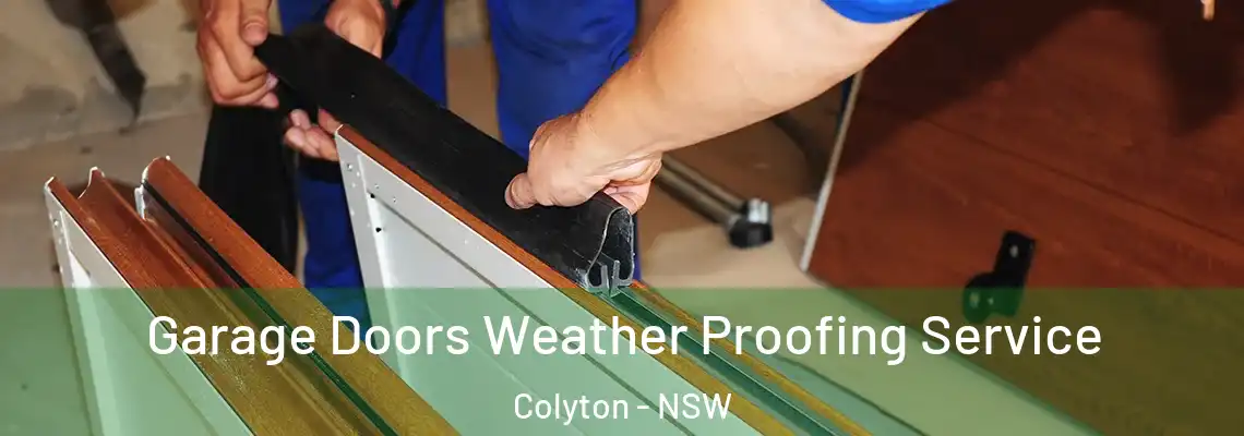 Garage Doors Weather Proofing Service Colyton - NSW