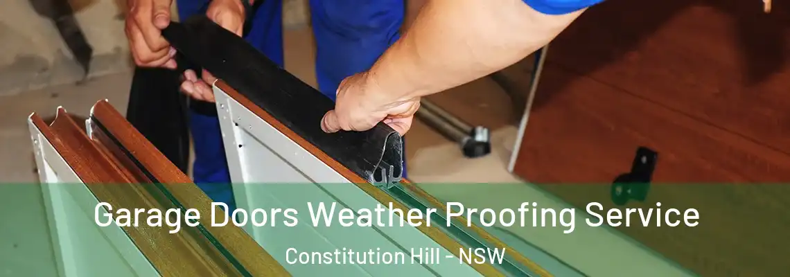 Garage Doors Weather Proofing Service Constitution Hill - NSW