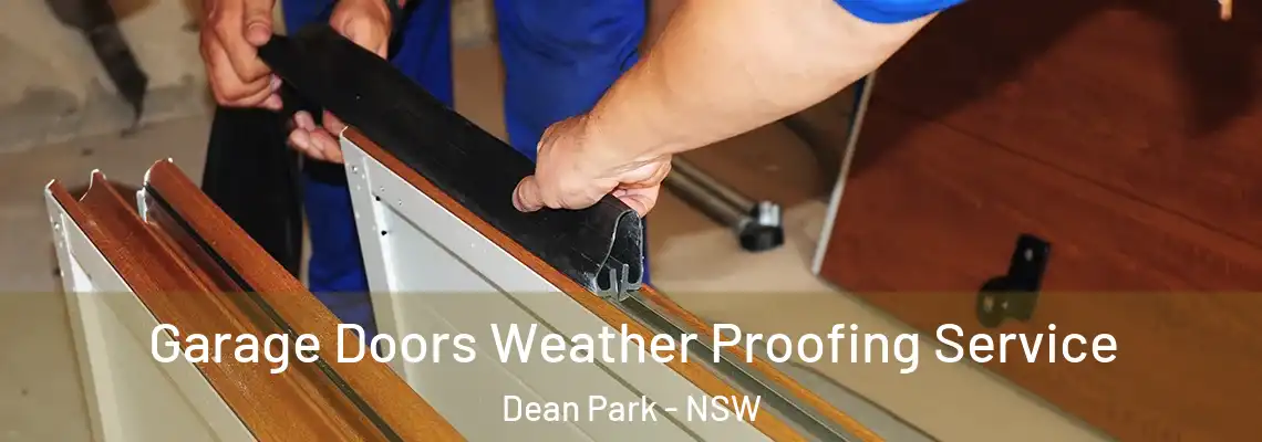 Garage Doors Weather Proofing Service Dean Park - NSW