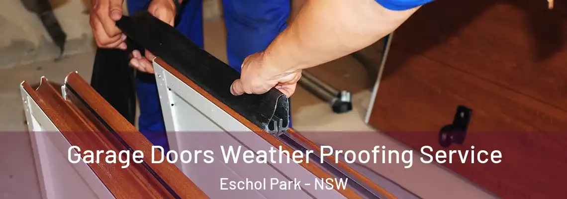Garage Doors Weather Proofing Service Eschol Park - NSW