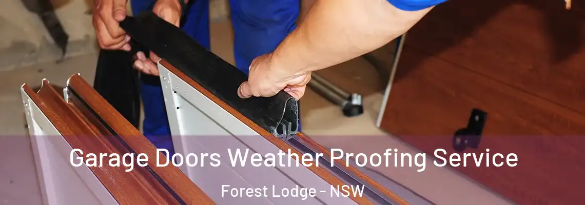 Garage Doors Weather Proofing Service Forest Lodge - NSW
