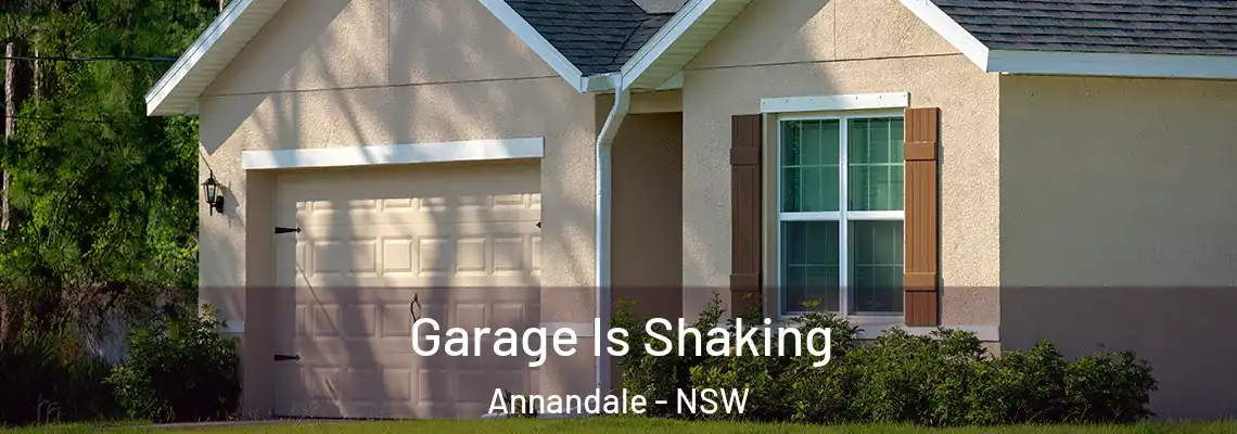 Garage Is Shaking Annandale - NSW
