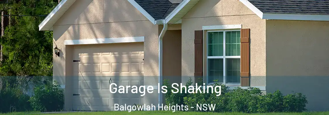 Garage Is Shaking Balgowlah Heights - NSW