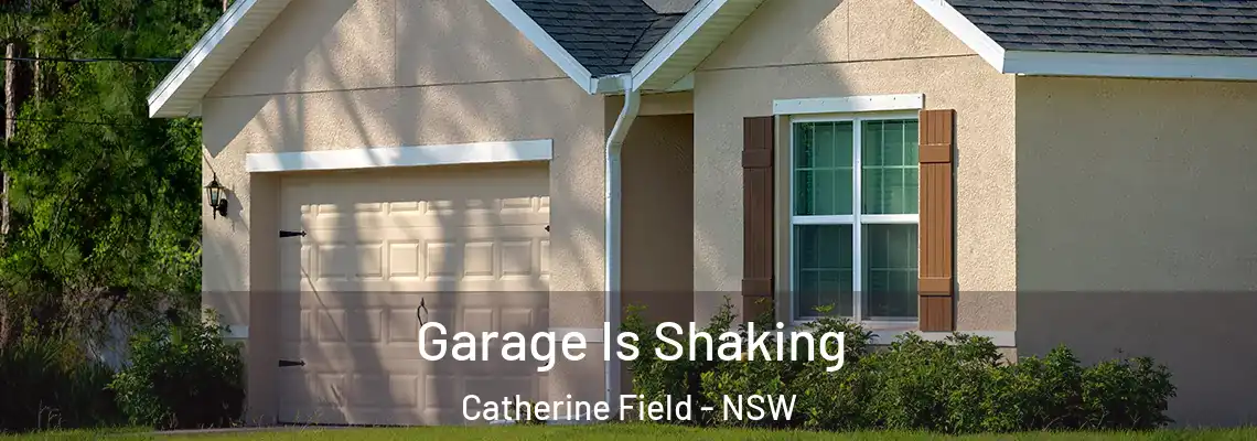 Garage Is Shaking Catherine Field - NSW