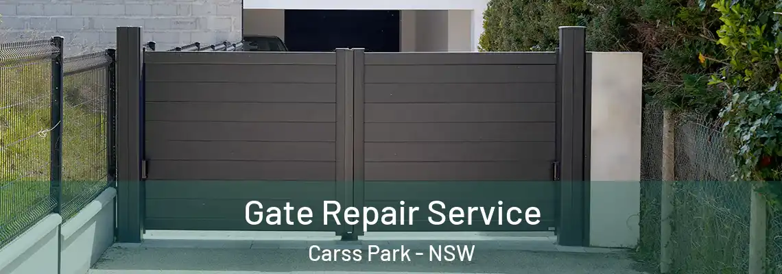 Gate Repair Service Carss Park - NSW