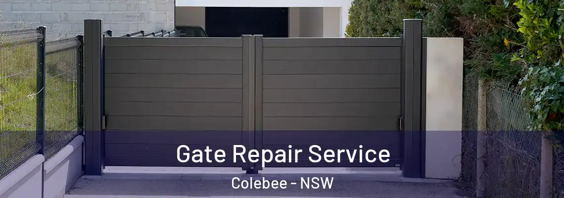 Gate Repair Service Colebee - NSW