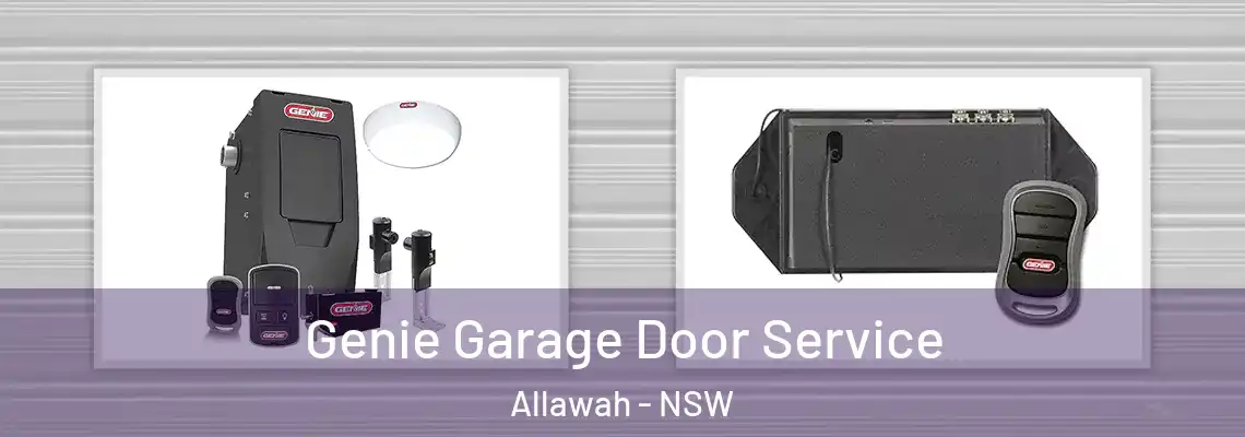 Genie Garage Door Service Allawah - NSW