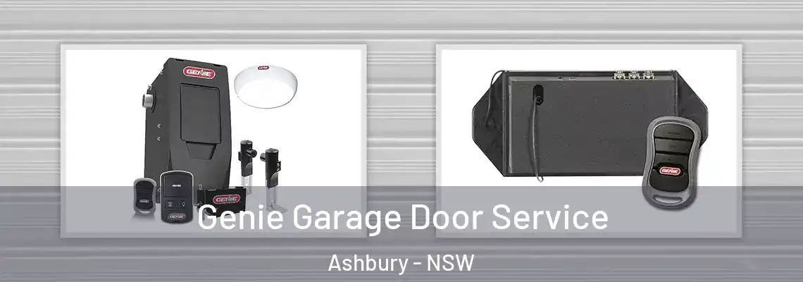Genie Garage Door Service Ashbury - NSW