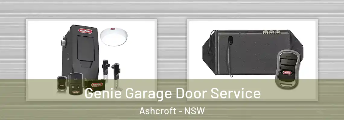 Genie Garage Door Service Ashcroft - NSW