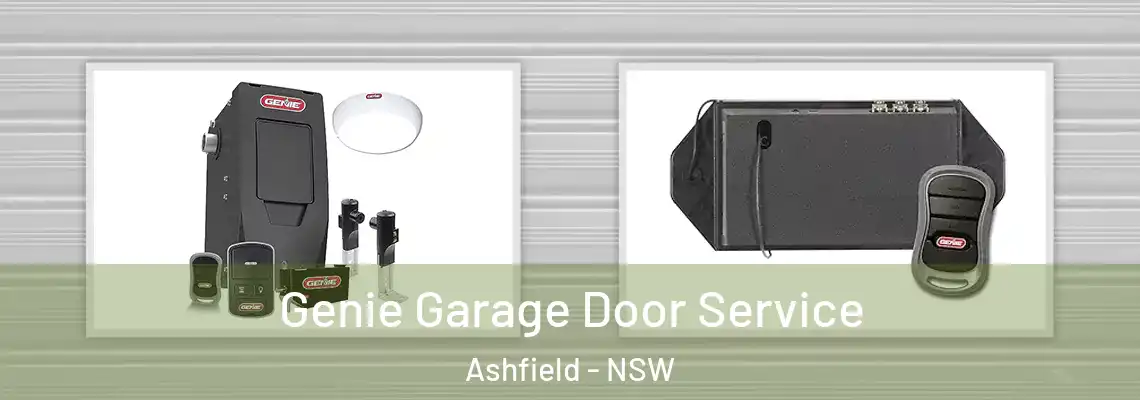 Genie Garage Door Service Ashfield - NSW