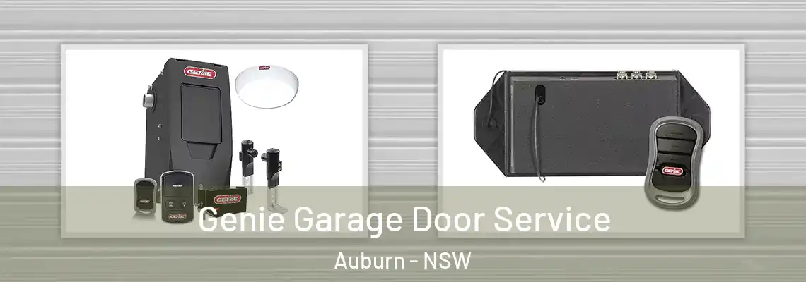 Genie Garage Door Service Auburn - NSW